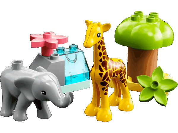 Animaux sauvages d’Afrique