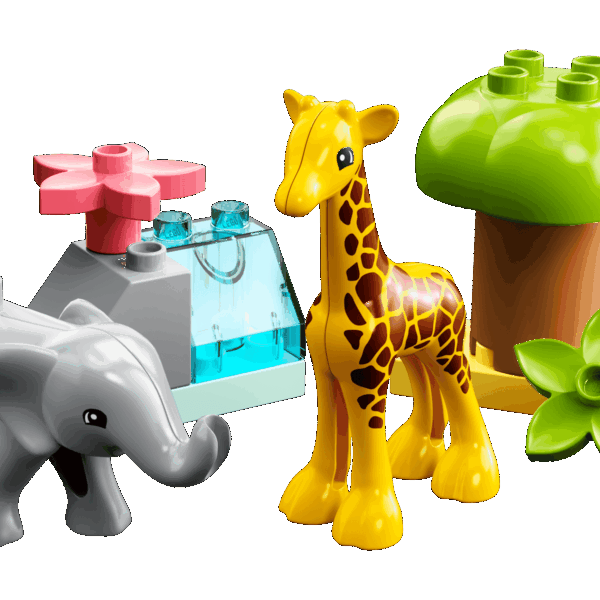 Animaux sauvages d’Afrique