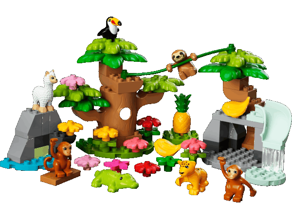 Animaux sauvages d’Amérique du Sud