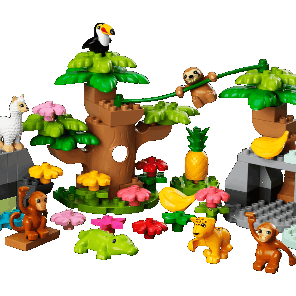 Animaux sauvages d’Amérique du Sud