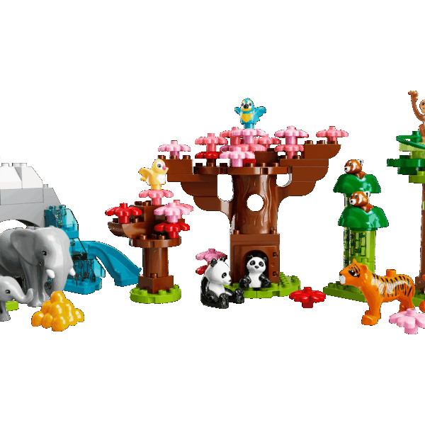 Animaux sauvages d’Asie