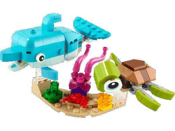 Le Dauphin et la Tortue