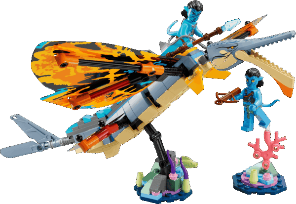 L’aventure du Skimwing