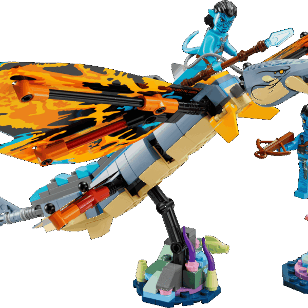 L’aventure du Skimwing