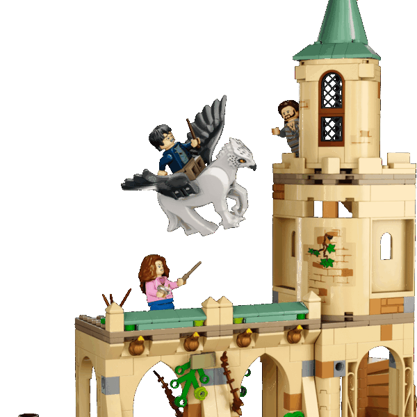 La cour de Poudlard : le sauvetage de Sirius