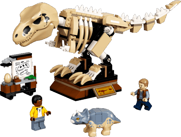 L’exposition du fossile du T. Rex