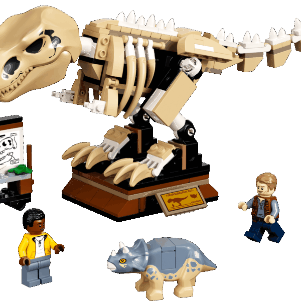 L’exposition du fossile du T. Rex